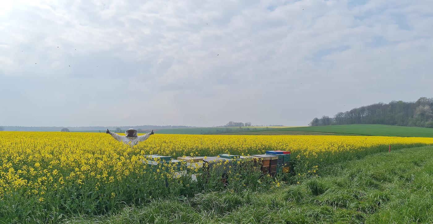 Bijenhouderij en biodiversiteit: 2 podcasts!