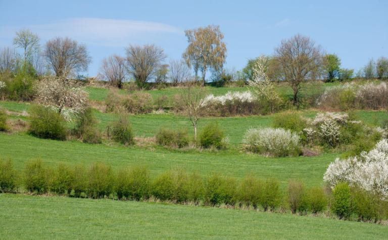 16 tot 24 mei Week van de Biodiversiteit
