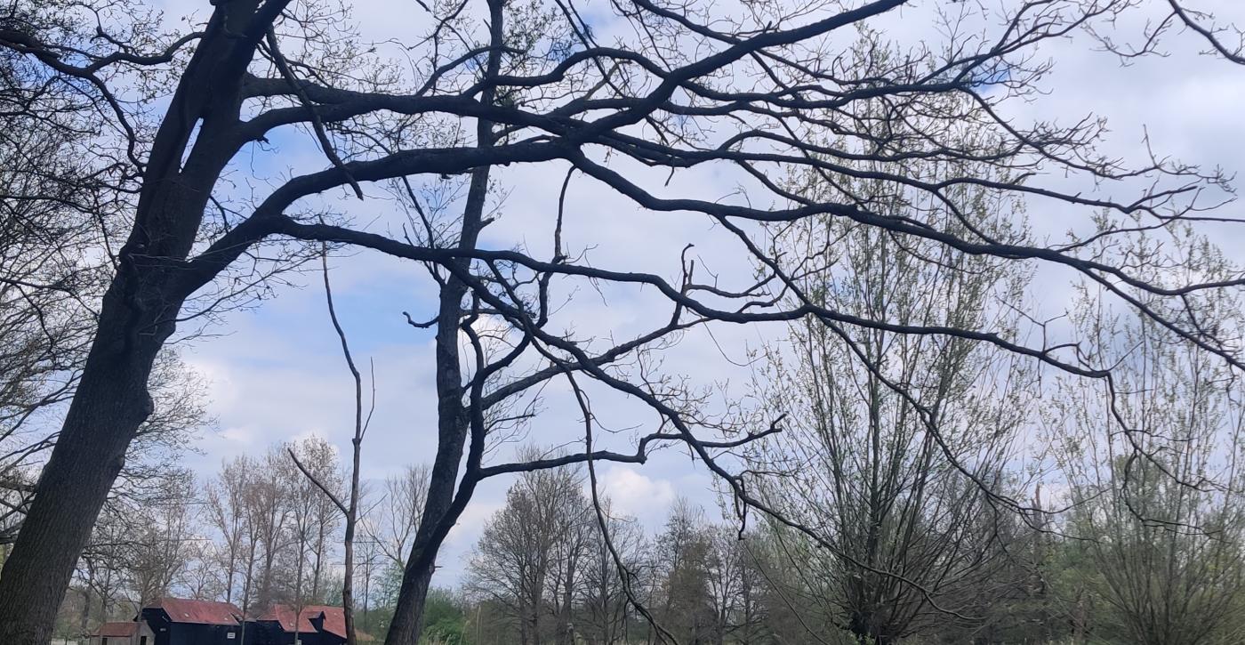 The power of watermill landscapes for a climate-resilient future